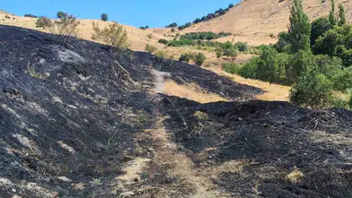 Diyarbakır Ergani'de anız yangını dehşeti: 100 dönümlük arazi küle döndü