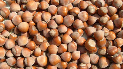 26 Haziran 2024 Çarşamba fındık fiyatları ne kadar? İl, il güncel fındık fiyatları