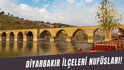 Diyarbakır’ın 2025 Nüfusu Tahmini Açıklandı: İlçelerde Son Durum