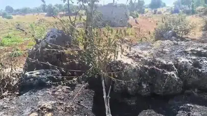Dicle'nin bereketli topraklarında yangın paniği Onlarca meyve ağacı kül oldu