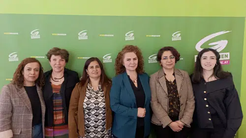 Diyarbakır'dan Viyana'ya: Kadına şiddetle mücadelede uluslararası adım