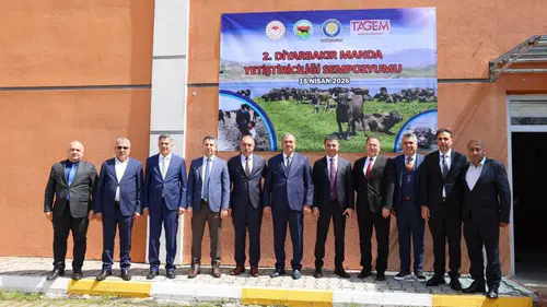 Diyarbakır'da manda yetiştiriciliğinde yeni vizyon: Yol haritası çizildi