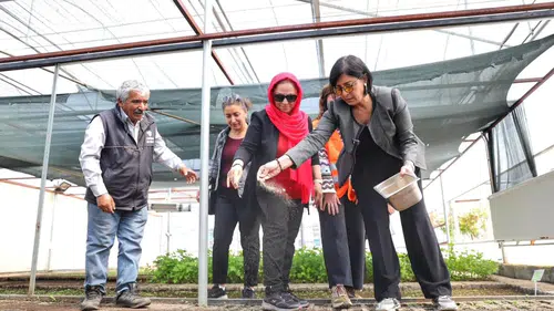 Diyarbakır'da binlerce yerli sebze ve meyve tohumu toprakla buluştu