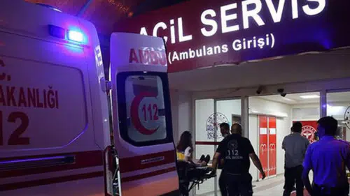Son Dakika:Kocaköy’de husumetli aileler arasında silahlı kavga: 2 yaralı