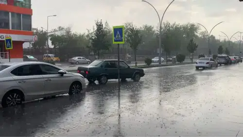 Diyarbakır'da gök gürültülü sağanak yağış ve toz taşınımı alarmı