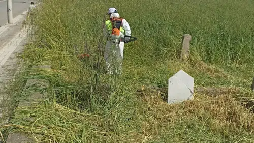 Diyarbakır'da bayram öncesi mezarlık temizliği: Ot biçme ve bakım çalışması başladı