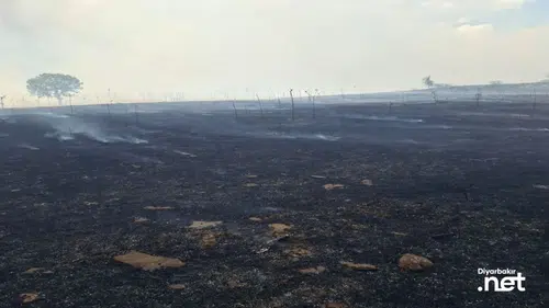 Diyarbakır'da tarım alanlarındaki yangının faciaya dönüşmesini önleyen detay