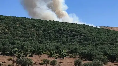Silvan Çalıönü’ndeki meşe ormanında korkutan yangın Ekipler alevleri söndürdü
