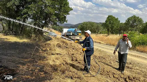 Diyarbakır'da 5 bin dönümlük alanı vuran yangına DİSKİ'den müdahale