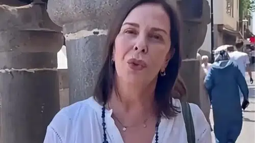 Diyarbakır'da Lale Mansur’dan Dört Ayaklı Minare çıkışı: İşte ünlü ismi isyan ettiren olay