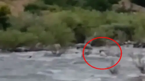 Bingöl ile Diyarbakır arasındaki çayda kaybolan gencin son görüntüleri ortaya çıktı