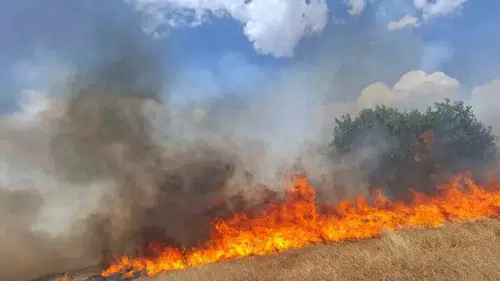 Diyarbakır genelinde anız yangını alarmı Beş ilçede alevlerle mücadele sürüyor