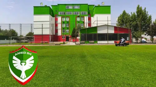 TFF Amedspor'a onay verdi: 29 kulüp arasına girdi