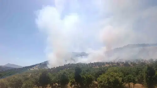 Çüngüş Geçit Mahallesi'nde alevler yükseldi Ekipler yangını söndürmek için seferber oldu