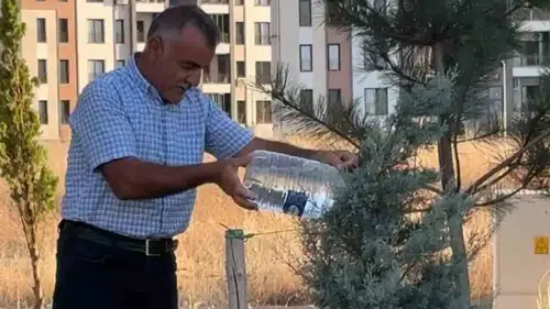Bağlar'ın Oğlaklı Mahallesi'nde çöp ve bakımsızlık isyanı Vatandaşlar çözüm bekliyor