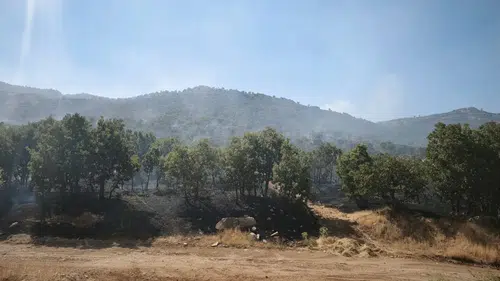 Çüngüş Geçit Mahallesi'ndeki Mırgan Yaylası'nda çıkan örtü yangını söndürüldü 80 dönüm
