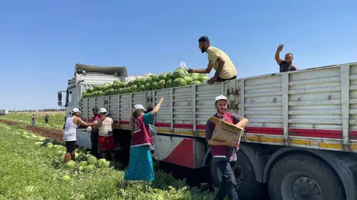 Diyarbakır'da tarım işçilerine şapka çıkardılar! Sıcağın altında anlamlı hediye