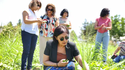 Diyarbakır'da kültürel mirası koruyacak doğal tohumlar ürünlerini verdi