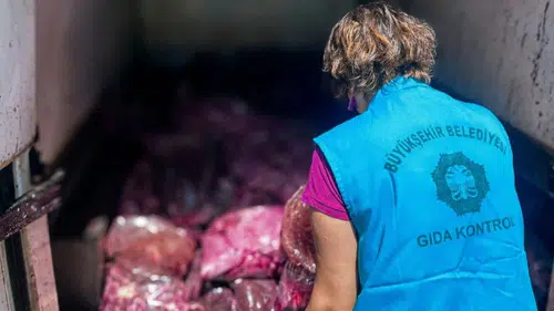 Diyarbakır'da sağlıksız gıda şoku: 3 ton sakatat imha edildi, şoföre işlem başlatıldı