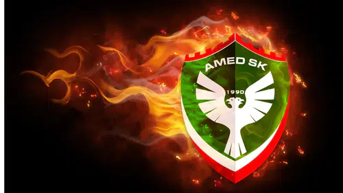 PFDK Amedspor'u boş geçmedi: Kocaelispor maçı sonrası çifte yaptırım geldi