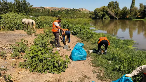 Diyarbakır'ın UNESCO mirası Hevsel'de temizlik seferberliği: Yerlerde çöp kalmadı