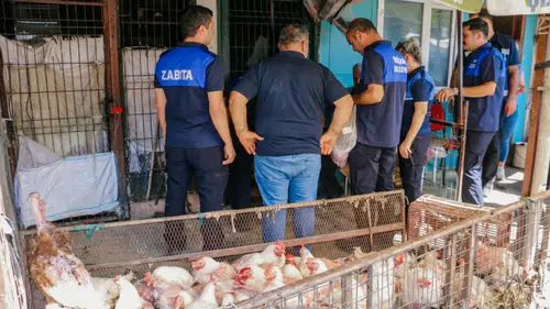 Diyarbakır Eski Hal'de kanatlı hayvan operasyonu: 17 iş yeri birden mühürlendi