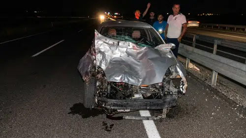 Diyarbakır Siverek yoluna aniden çıkan eşek kazaya neden oldu: Yaralılar var