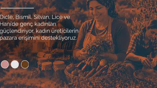 Diyarbakır'da kadın üreticilere Kanada'dan destek: 5 ilçeyi kapsayan proje umut oldu