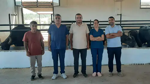 Diyarbakır’da manda yetiştiriciliğine embriyo transferi desteği