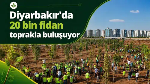 Diyarbakır'da yeşil dönüşüm başlıyor: 20 bin fidan için geri sayım