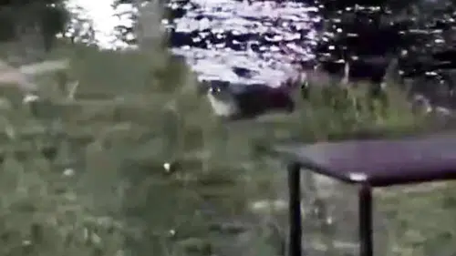 Dicle Nehri'nde sürpriz misafir: Nesli tükenen su samuru görüntülendi