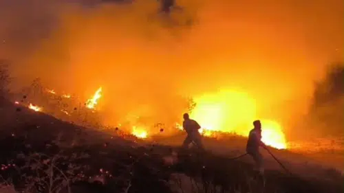 Siirt'teki dev yangına Diyarbakır'dan ekip takviyesi: Gece boyu alevlerle mücadele ettiler