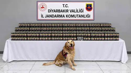 Diyarbakır genelinde jandarmadan büyük kaçakçılık operasyonu: 29 şüpheli yakalandı
