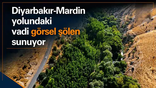 Diyarbakır Mardin yolundaki vadi görsel şölen sunuyor: Doğa tutkunlarının uğrak yeri
