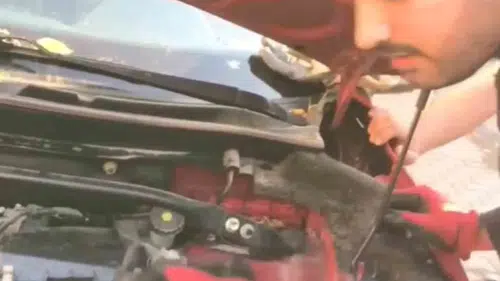 Diyarbakır'da araç motoruna sığınan 3 yavru kedi itfaiye ekiplerince kurtarıldı