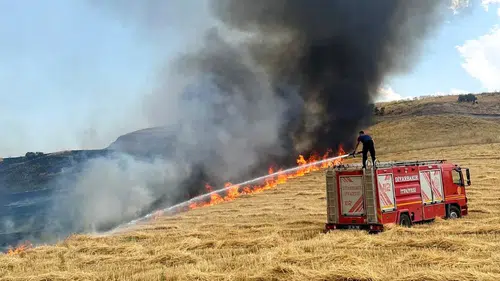 Diyarbakır'da anız yangınları alarm veriyor: Yüzde 91'i yaz aylarında yaşandı