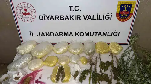 Diyarbakır genelinde büyük narkotik operasyonu: 59 bin kök kenevir ele geçirildi