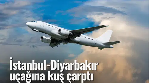 İstanbul-Diyarbakır uçağına kuş çarptı: Ankara'ya iniş yapıldı
