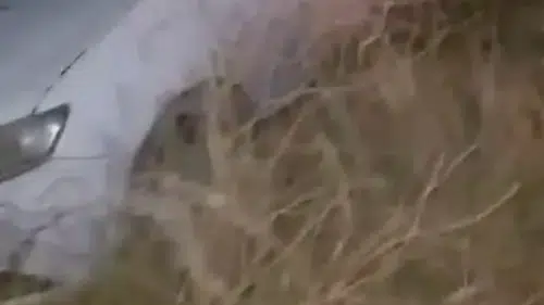 Diyarbakır Yenişehir'de trafik kazası: Kontrolden çıkan otomobil takla attı