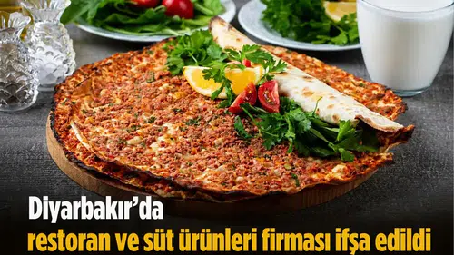 Diyarbakır'da restoran ve süt ürünleri firması ifşa edildi: İşte uygunsuz ürünler