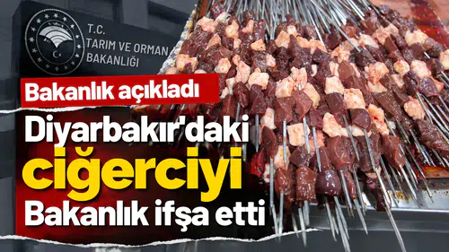 Diyarbakır'daki ciğerci ifşa listesine girdi: Adana Kebap'ta bakın ne çıktı!