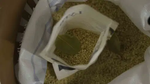 Diyarbakır'ın volkanik topraklardan gelen Karacadağ pirinci laboratuvar sınavını geçti