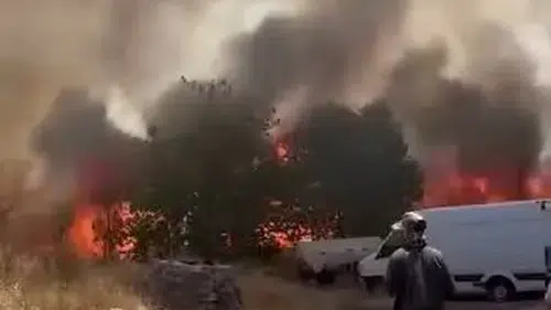 Sur ilçesinde hasat dönemi kabusu Çarıklı'da yüzlerce dönüm arazi kül oldu