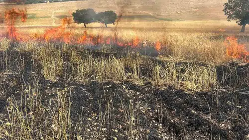Çınar’da hasat öncesi büyük felaket Ballıbaba’da 200 dönüm buğday alevlere teslim oldu