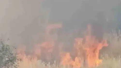 Çermik Çukur Mahallesi'nde anız yangını tehlikesi Alevler evlere ulaşmadan durduruldu