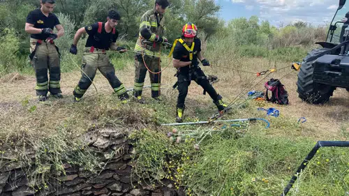 Sur ilçesinde kuyuda mahsur kalan yaban domuzu itfaiyenin çabasıyla kurtarıldı
