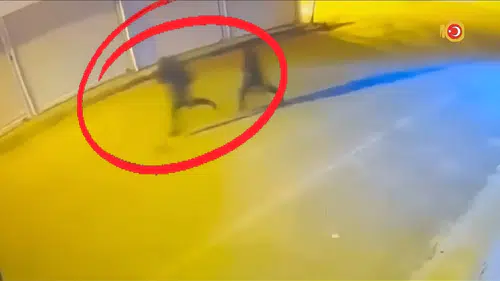 Diyarbakır'da 16 farklı suça karışan organize yapıya KOM baskını 15 kişi cezaevinde