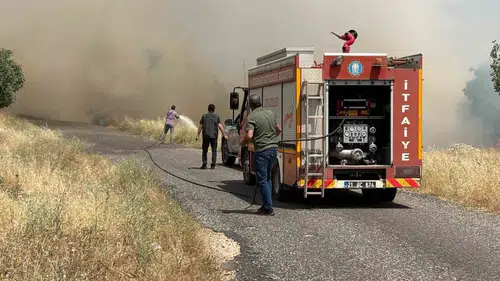 Diyarbakır Eğil'de buğday hasadı öncesi felaket Yüzlerce dönüm arazi alevlere teslim oldu