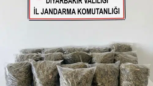 Diyarbakır genelinde narkotik operasyonu 38,5 kilo esrar ile 11 gözaltı kararı