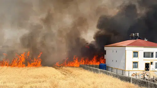 Diyarbakır Bağlar'da Kamışlo Bulvarı çevresini saran alevler evlere ulaşmadan söndürüldü